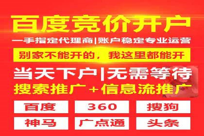 竞价广告在XX行业的成功应用案例